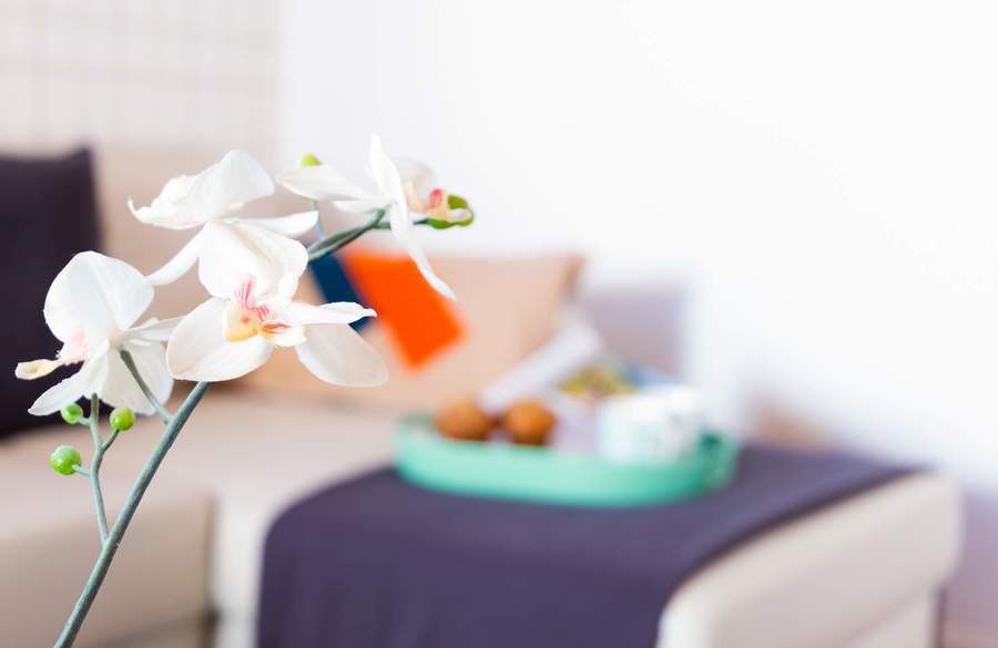 Gallery alquiler apartamento vacacional madrid 29